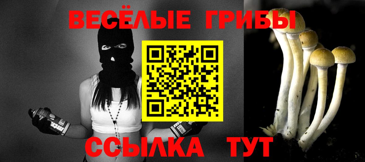 Псилоцибиновые грибы Psilocybe  Вход с VPN  Крымск  Псилоцибиновые грибы ЛСД 